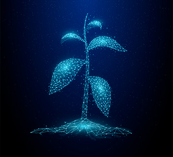 Единая инструкция по работе в государственных информационных системах