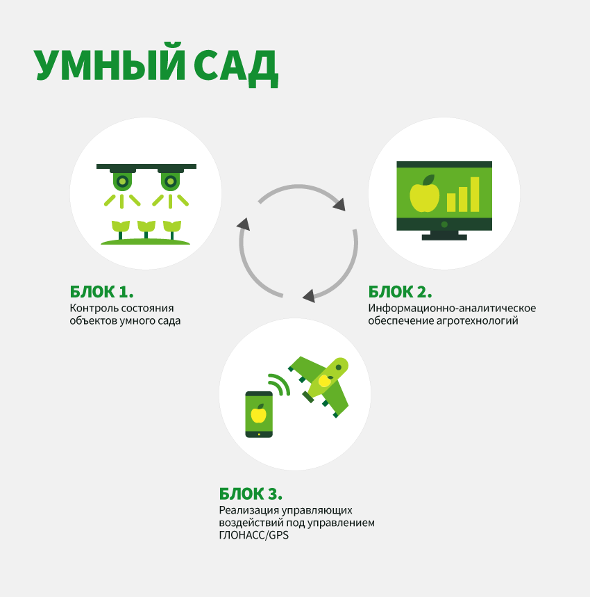 Франшиза умней. Умная sreda. Франшиза умней. Бизнес бустер. Франшиза умней.