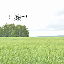 В Челябинской области расширяется использование агродронов