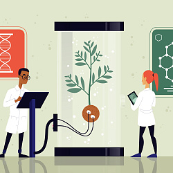 Курчатовский геномный центр создал ИИ-систему для диагностики болезней у растений