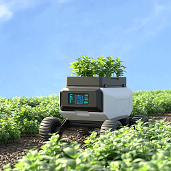 КАК НЕЙРОСЕТИ СТАНОВЯТСЯ ДРАЙВЕРОМ РОСТА ДЛЯ АГРАРИЕВ