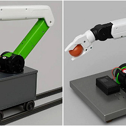 Студент НГУ создал интеллектуального робота-манипулятора для автоматического сбора томатов в промышленных теплицах