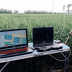 В КРАСНОЯРСКЕ РАЗРАБОТАЛИ СИСТЕМУ ОПЕРАТИВНОГО СПУТНИКОВОГО МОНИТОРИНГА ПОСЕВОВ