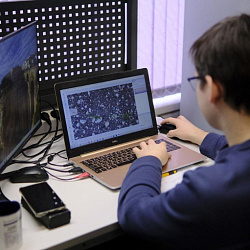 Нейросети на службе урожая: ученые ДГТУ создают карты сорности и урожайности полей