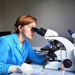 На выставке «Золотая осень 2025» российская компания представила систему диагностики растений на основе ИИ