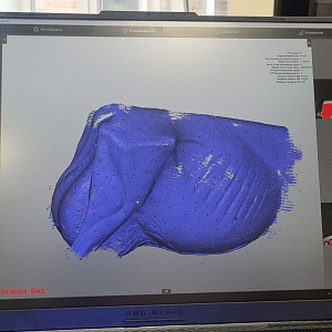 Тимирязевка разработала новую технологию для бесконтактной оценки КРС