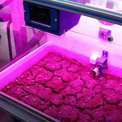 «Умный туман» для защиты садов от заморозков разработали в Воронеже