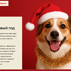 Благотворительная  акция «Хвостатый Новый год» 2025 