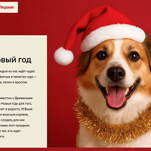 Благотворительная акция «Хвостатый Новый год» 2025