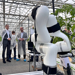 Прототип роботизированной системы для определения болезней растений представили в СтГАУ